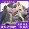 Winter Pet Dog Coat With Harness Design Warm Cotton Vest Small To Extra Large Dogs Outdoor Use