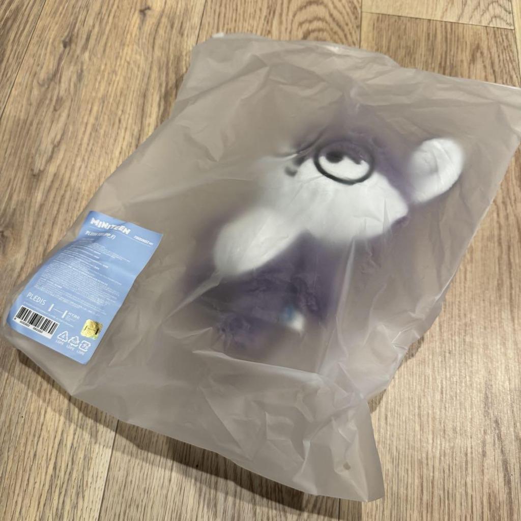 [USED] Pop-up SEVENTEEN MINITEEN Plush Toy Wonwoo