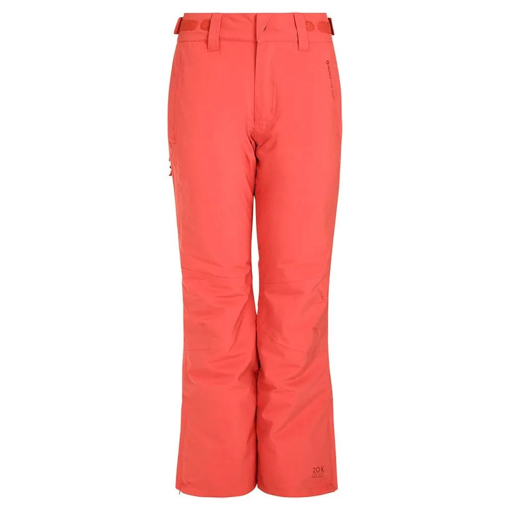 Protest Брюки Carmacks