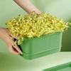 Ghivece de flori și coșuri – Containere pentru răsad