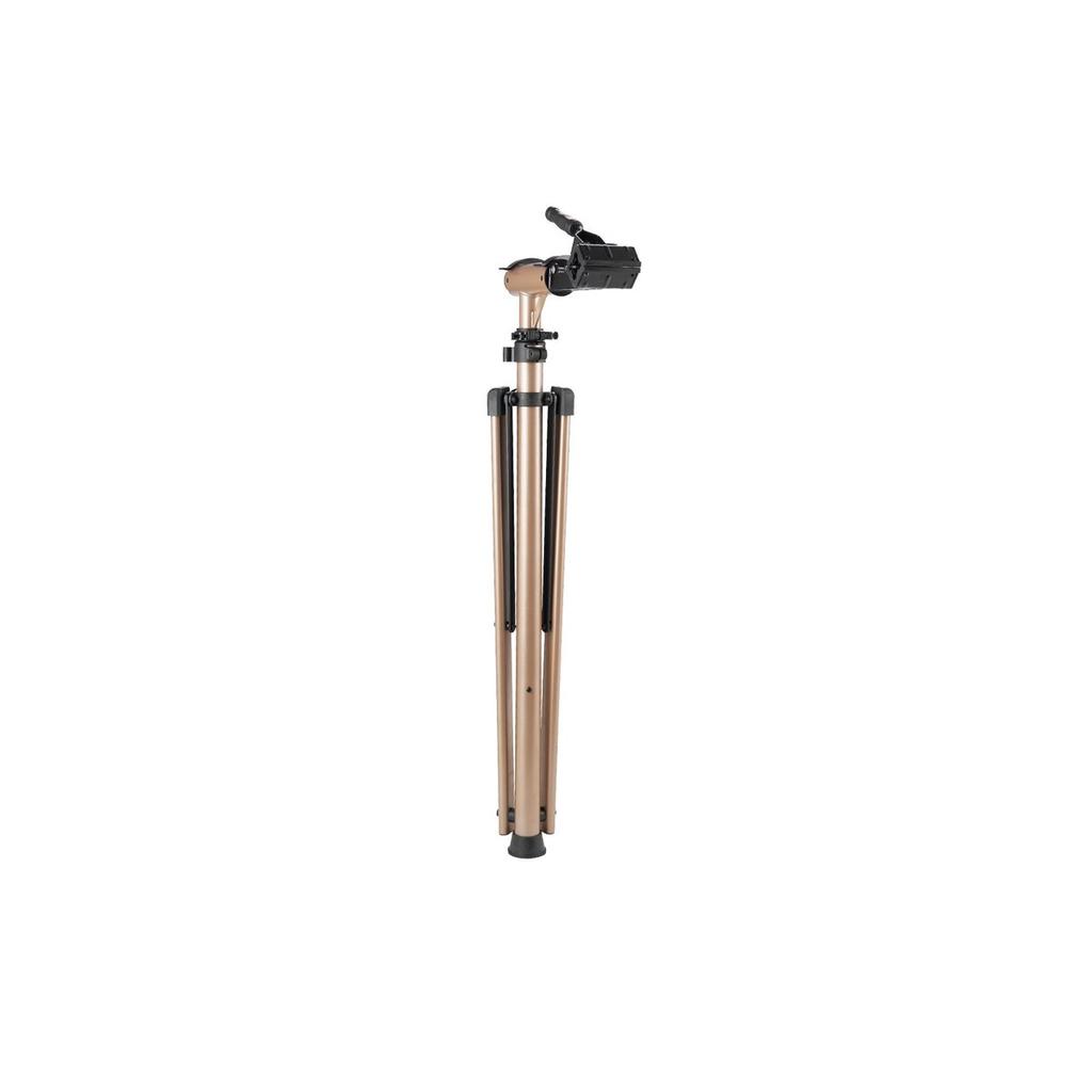 Bike Repair Stand 110 lb Adjustable Bicycle Maintenance Rack with Tool Tray