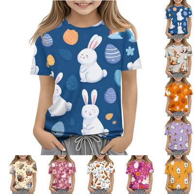 Üst giysisi – T-shirtler