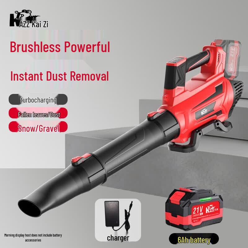 

KAZZ Cordless High-Power Blower CN plug (adapter included)