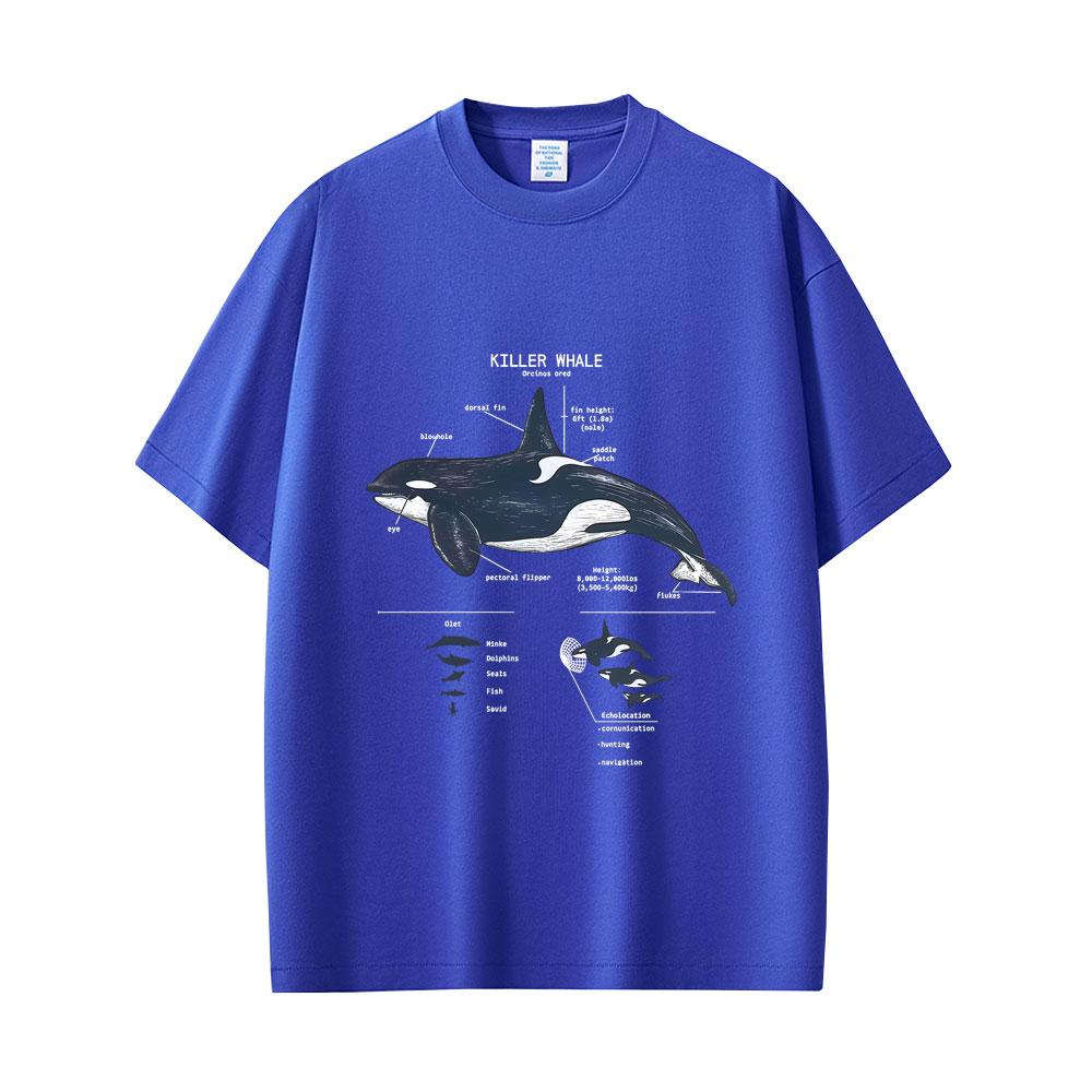 Marine Animals Killer Whale Anatomy Graphic Tshirt Mens Womens Casual Funny T Shirts Tops Unisex Fashion Oversized Streetwear