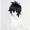 Anime The Rising of the Shield Hero Naofumi Iwatani Kort Svart Värmebeständigt Hår Cosplay Kostym Peruk