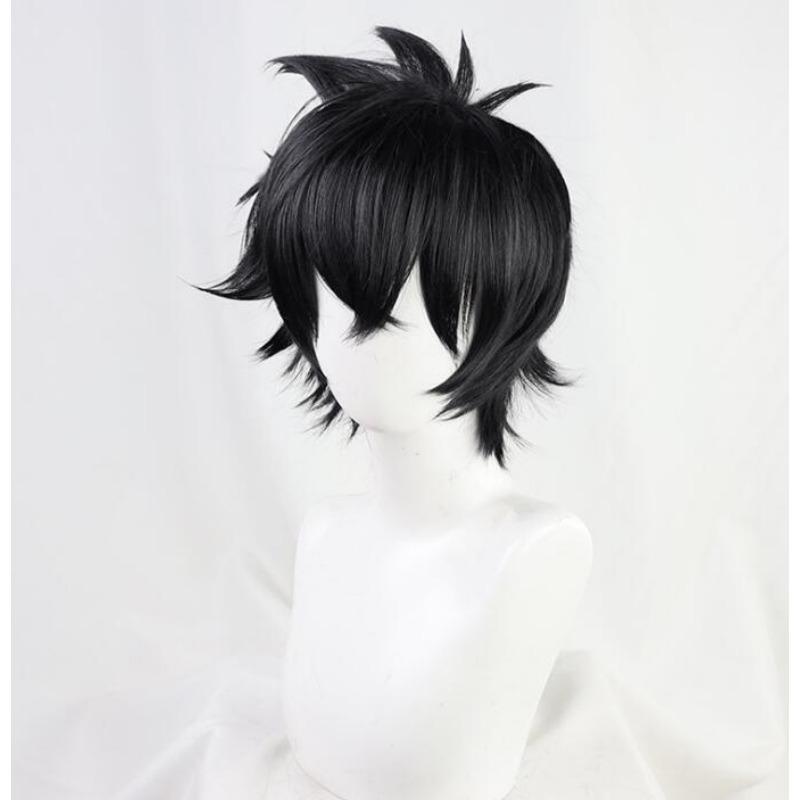 Anime The Rising of the Shield Hero Naofumi Iwatani Kort Svart Värmebeständigt Hår Cosplay Kostym Peruk