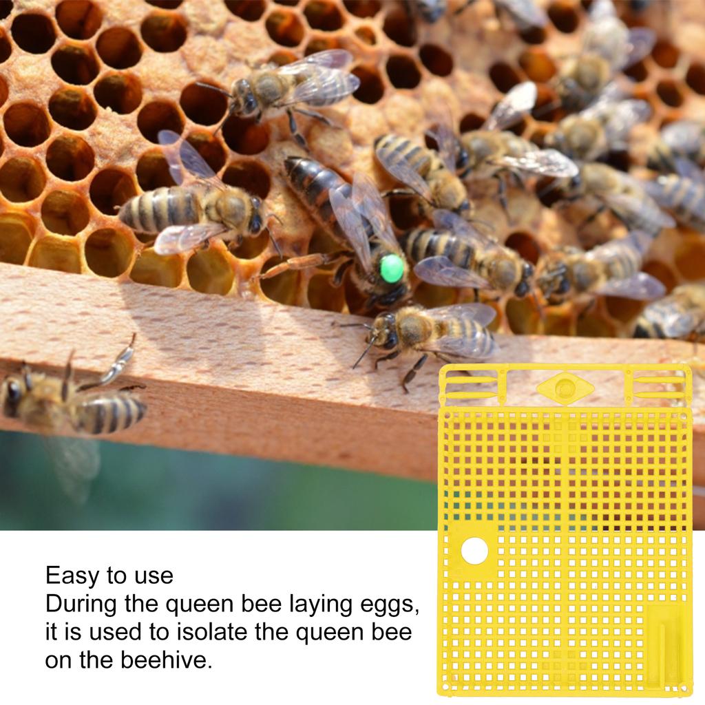 5 Stück Wiederverwendbarer Königinnenkäfig Tragbares Königinnen-Einführungswerkzeug Bienenstock-Zuchtgeräte-Set