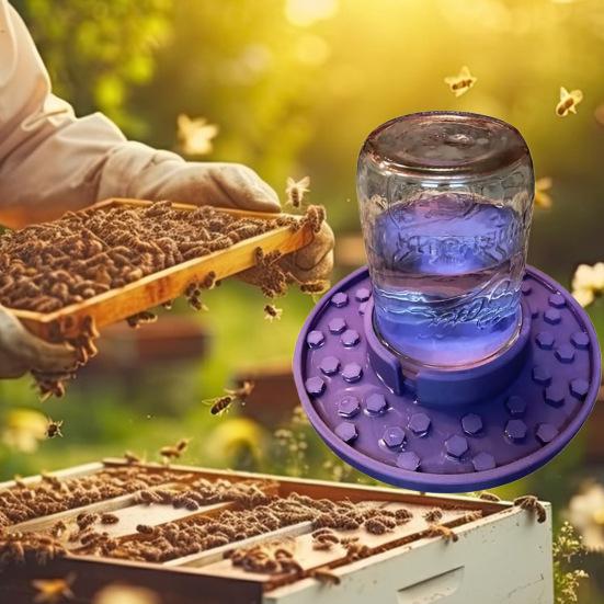 Mangeoire Rapide Pour Abeilles - Abreuvoir à Eau Ou Sirop Pour Ruche