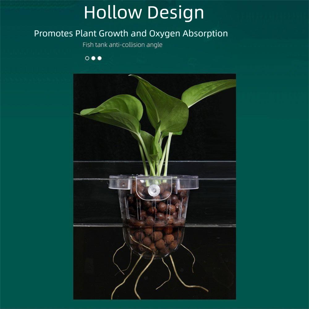 Transparent Fish Tank Hydroponic Planting Basket Water Plant Stand Glass Pot Aquarium Planter Cups Planted Tank