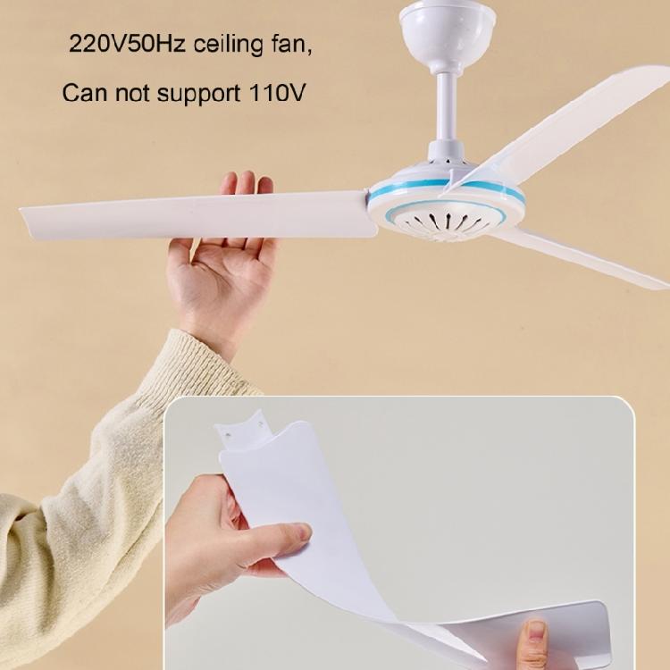 27.5inch Small Ceiling Fan 3 Blade Modern Indoor Outdoor Ceiling Fan with Quiet Motor for Bedroom 220V 50Hz