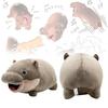 Moo Deng Hippo Plush Toys Cute Cartoon Girl Holiday Gifts Throw Dolls Pillow
