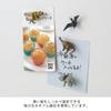 Midori Mini Magnets Dinosaur Design 43425006 (4 Pieces) - -