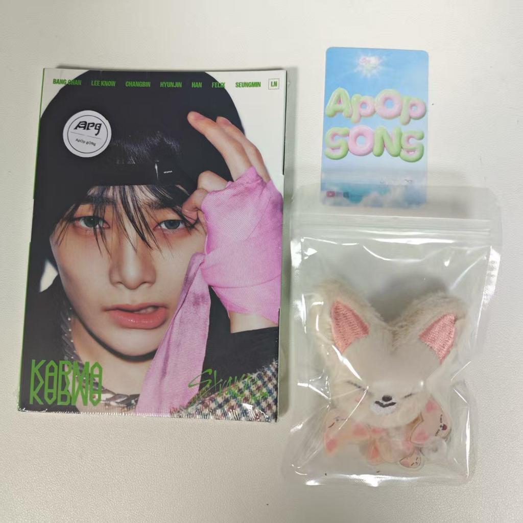 Stray Kids Accesorii Crocs, 17 buc