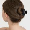 Chubby Mini Hair Crow Clip HB2273 5 Colors