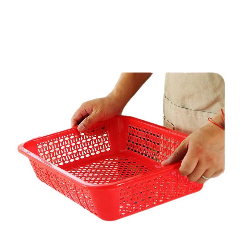 Sanhe Green Plastic Draining Storage Baskets (Set of 5)
