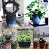 2Pcs Garden Plant Support Stake Stand Round Vine Climbing Rack Ironheart-Shaped Flower Plant Trellis Support Frame Garden Decor