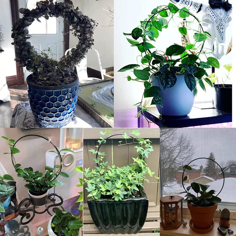 2Pcs Garden Plant Support Stake Stand Round Vine Climbing Rack Ironheart-Shaped Flower Plant Trellis Support Frame Garden Decor