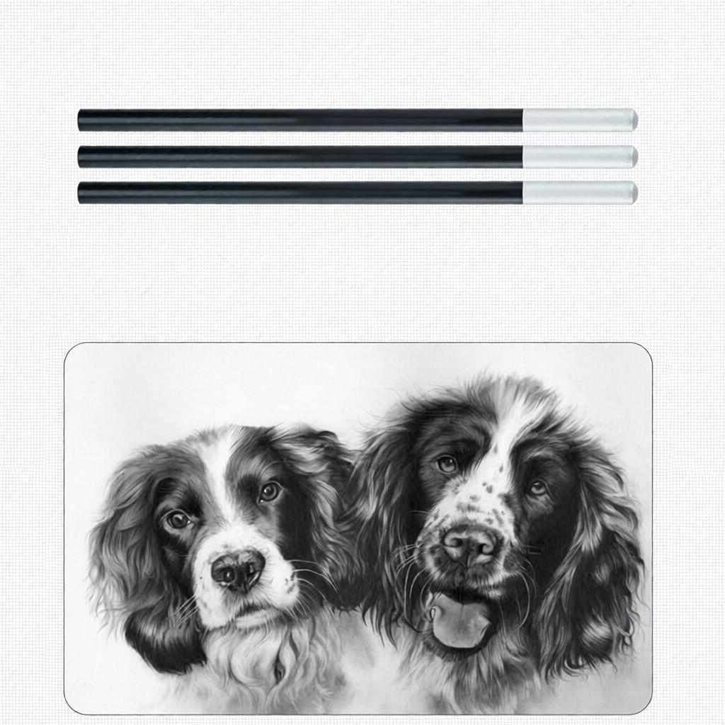 29PCS Pencil Set Drawing Sketching Charcoal Pencil Art Professional Art Supplies with Storage Pouch Bag Portrait Drawing Tool Great Gift for Adults S