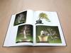 [USED] Collection of Works, Catalogue "The 12th Nippon Bonsai Taikan Exhibition