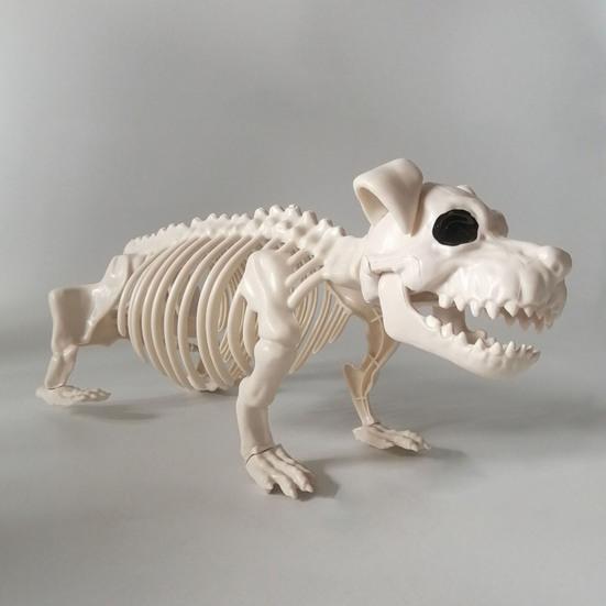 Halloweenské zvířecí kostry Pes Netopýr Žába Štír Pavouk Had Krysa Kostní kostry pro Halloweenskou párty Strašidelný dům Hřbitovní scéna Dekorace