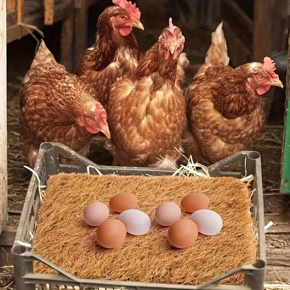 1PC 30cm Square Chicken Coop Nesting Mat, Washable Anti-Breakage Natural Coconut Palm Pad Design, For Hens Laying Eggs Poultry