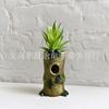 Extraterrestrial Frog Flowerpot, Suitable for Family Outdoor Garden Lawn and Indoor Art Deco Sculpture Flowerpot