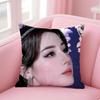 Popular fashion Elegant Chinese DDilraba Dilmurat Cushion Cover Pillow Case Soft Friendly Fabric  Concealed Zipper