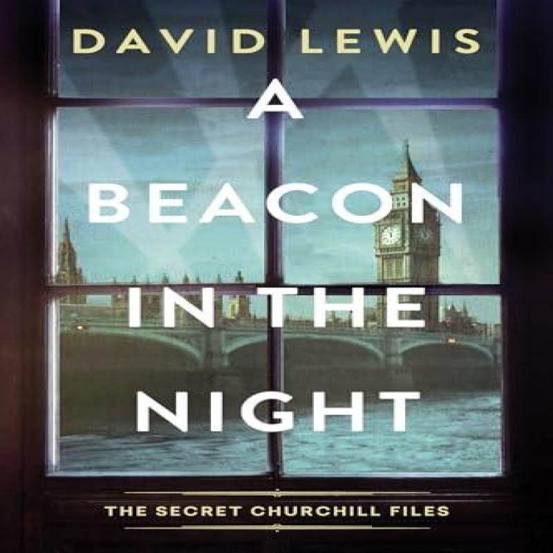 A Beacon in the Night by David Lewis Hardback Book 9781496749123