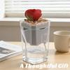 Automatic Self-Watering Flower Pot, Translucent Plastic Planter with Drainage Holes, For Succulents & Cuttings, Home Gardening Decor