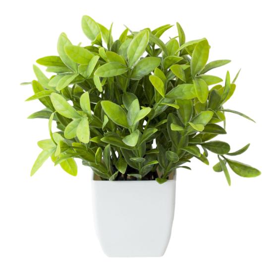 Simulation Plant Mini Easy To Maintain Weather-resistant Realistic No Watering Decorative Multicolor Table Centerpiece Potted Artificial Plant Living