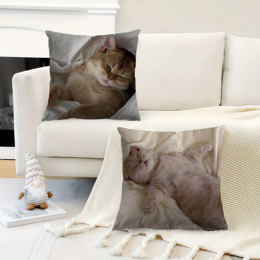 Korean Ins Cute Healing Sleeping Cats Cushion Cover Pillowcase Upholstery Sofa Throw Pillow Home Decor Pillowcas