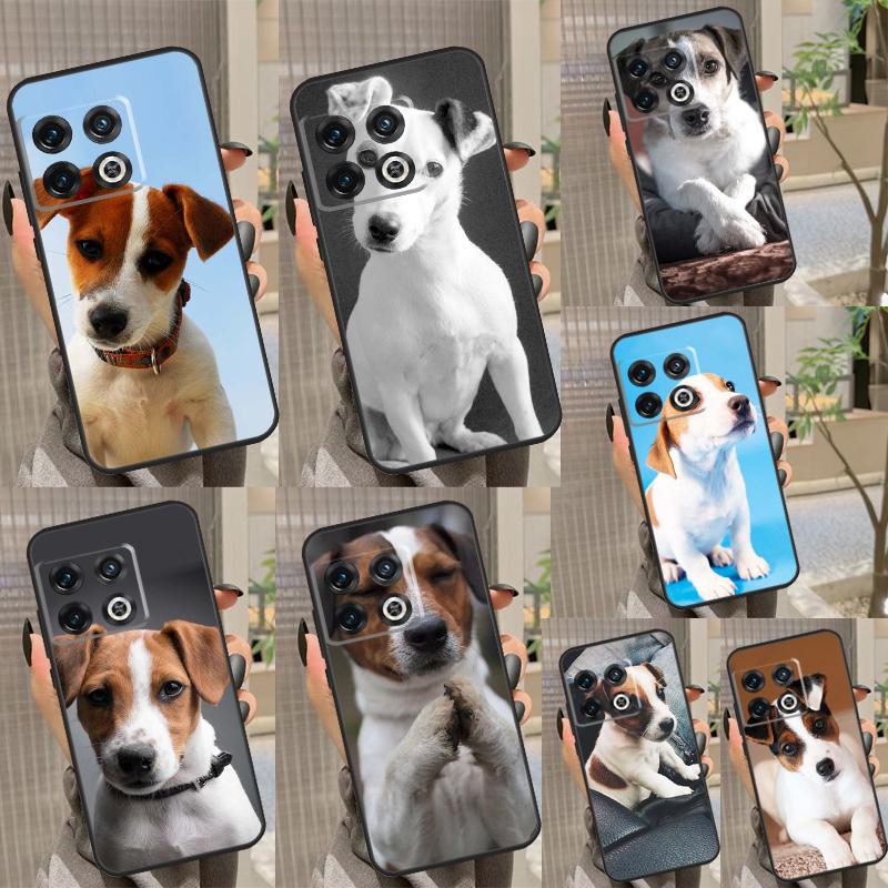 Jack Russell Terrier Dog Case For OnePlus Nord N10 N20 N30 Nord 2T CE 3 2 Lite OnePlus 11 8 9 10 Pro 8T 9R 10T Coque