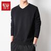 Hodo Men's Casual V-Neck Knit Sweater