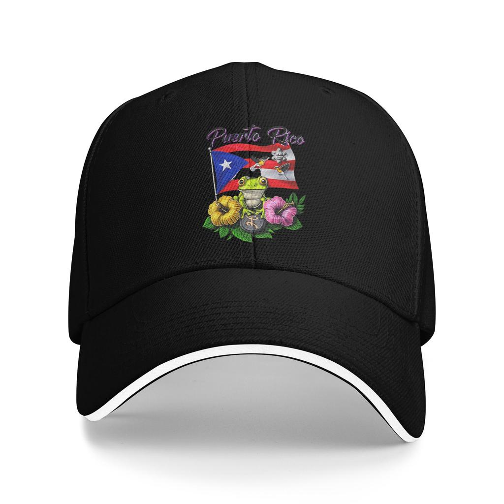 Coqui Frog Puerto Rico Flag Puerto Rican Casual Baseball Cap  Tennis Skate Trucker Hat Fashion Baseball Caps