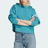 Adidas Originals Sweatshirt Women's Arctic Ocean Blue (Unisex) Sweatshirts IL6664