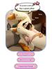 Douyin Viral Giant White Goose Plush Pillow – Cute Duck Stuffed Animal for Birthdays