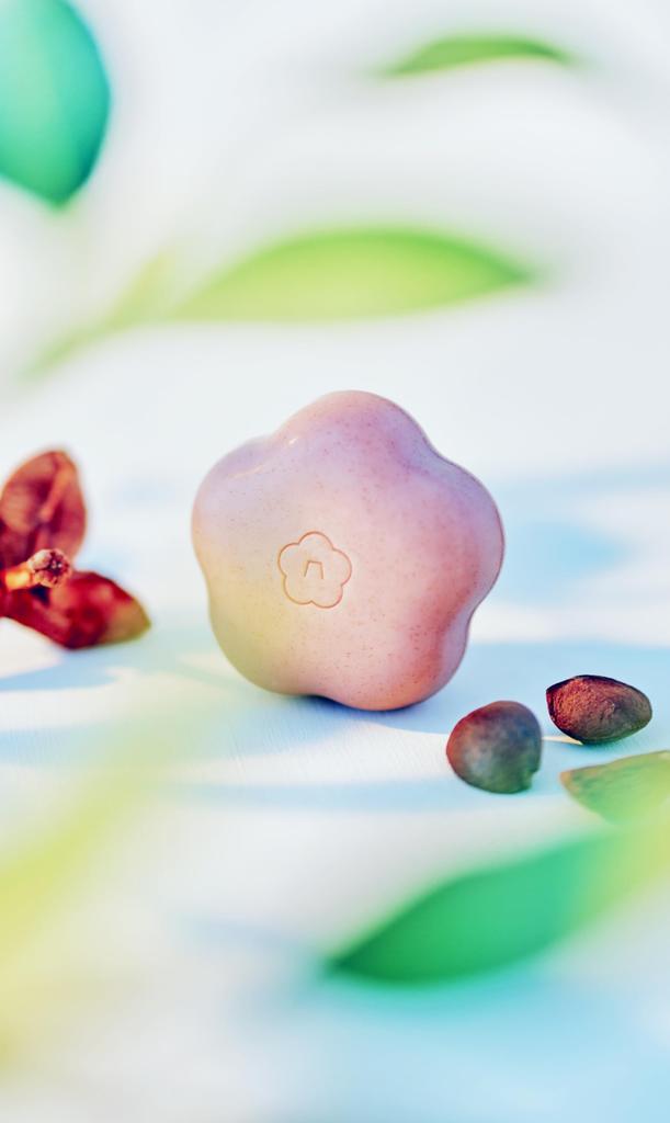 Goto Camellia Yeast Soap, Facial Cleanser, Foaming, Made with Camellia Oil, Camellia Leaf, Camellia Peel, and Saponin, Natural Ingredients (2.60g)