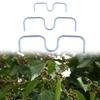 30pcs Fruit Tree Branch Shape Fixator Garden Yard Trees Support Holder M-Shaped Fruit Tree Branch Dividers Gardening Tool