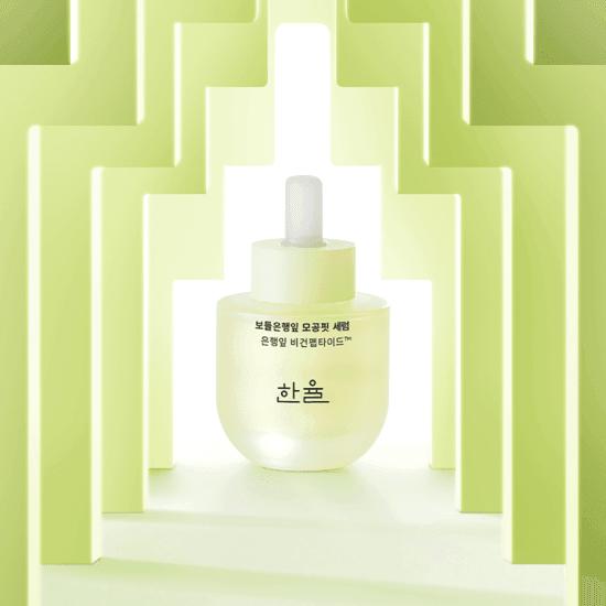 Hanyul Ginkgoblatt Poren Fit Serum 40ml