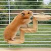 Bite Resistant Hamster Wooden Ladder Wall Mounted Hamster Climbing Toy  Enrichment Activity