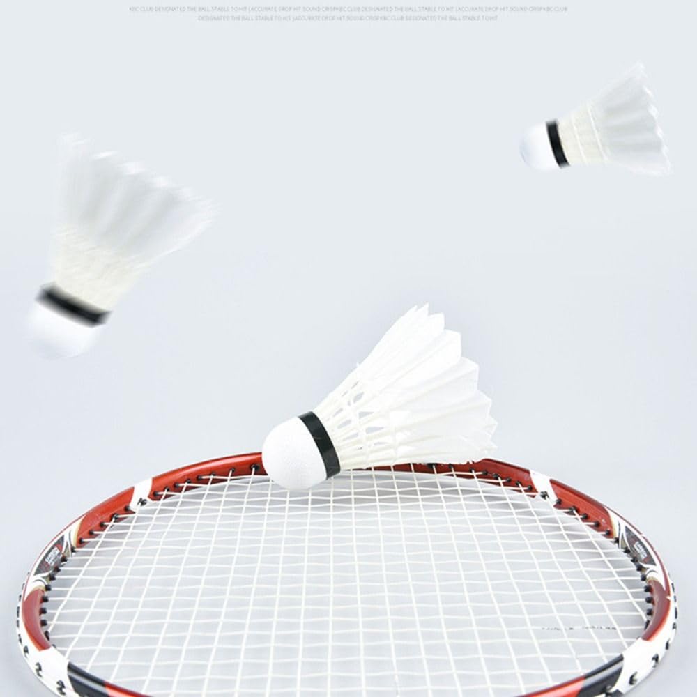 12pcs Professional Badminton Shuttlecocks Black Goose Feather Badminton Shuttlecocks Training Sports Badminton Balls