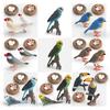 Childrens Parrot Model Pvc Growth Cycle Educational Bird Display For Kids