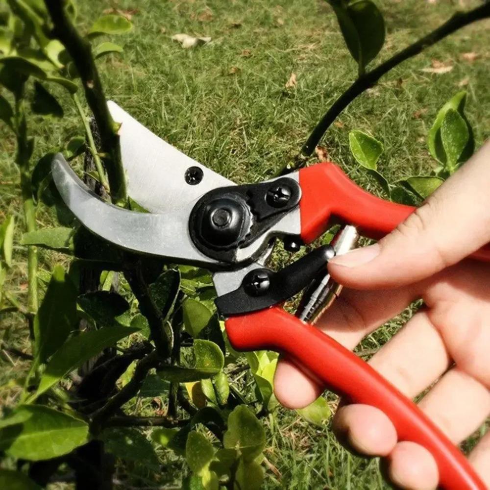 High Carbon Steel Gardening Scissors Grafting Tool Fruit Tree Pruning Shears Bonsai Pruners Garden Shears Secateurs