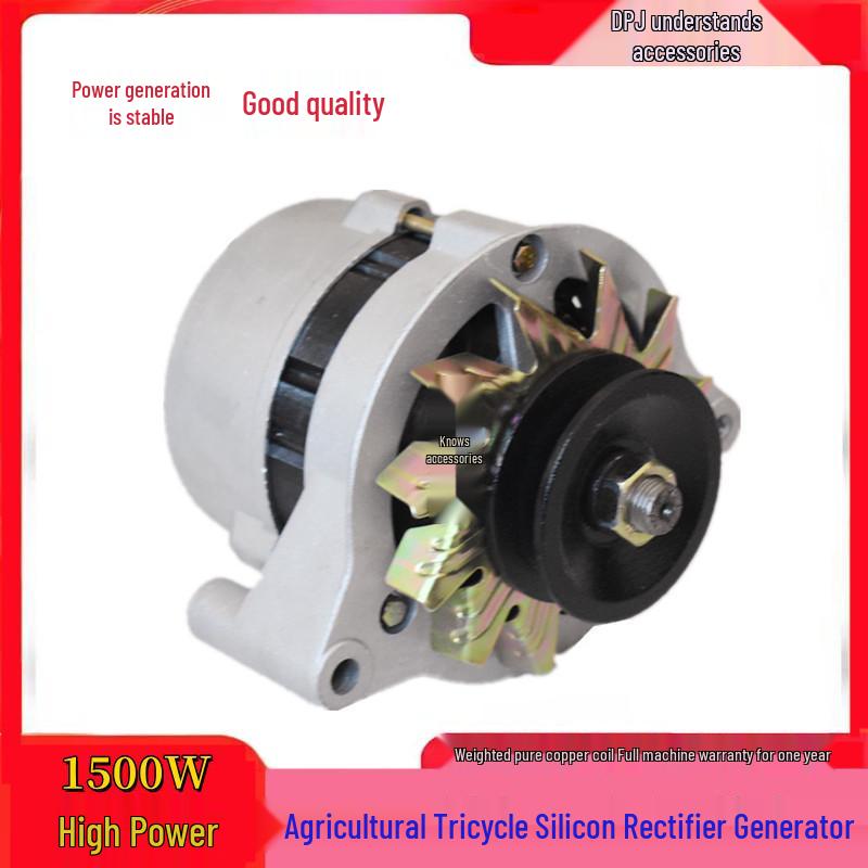 Сельскохозяйственный Чистомедный AC/DC Электрический Трехколесный Велосипед Генератор Выпрямитель JF11A 14