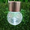 Xuan Yong Solar Outdoor Pendant Lights (4-Pack)