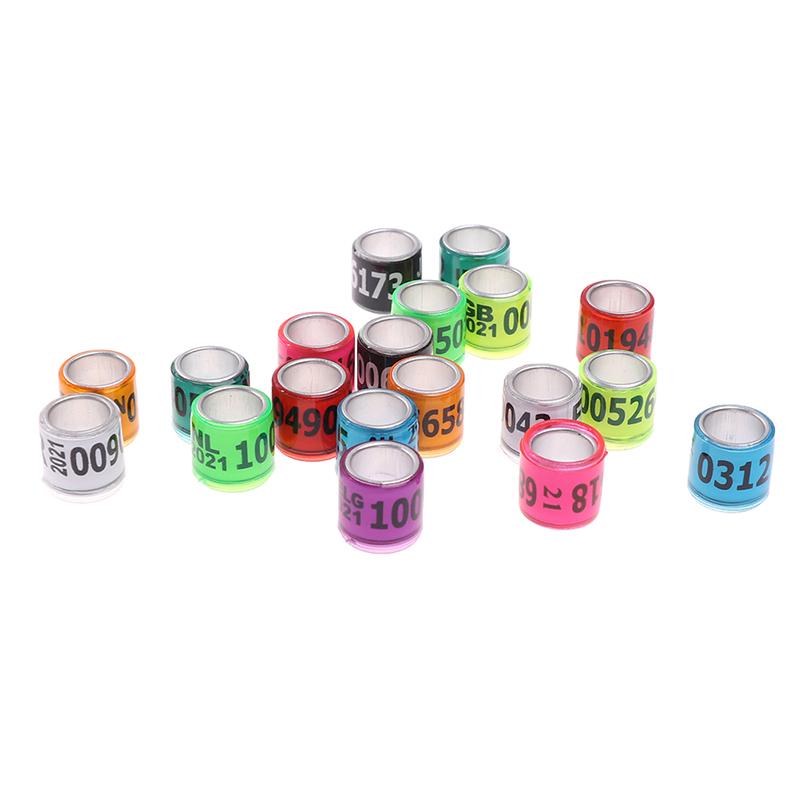 20 Pcs Pigeon Foot Ring With Word Earrings 2021 Multicolor Bird Tools