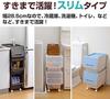 Storage Box In Set of 2 with Slim Deep Froq with Lid Can Be Fixed When Width X Depth 46 X Height Completed Clear [Yamazen] [Made Japan] Lid, (flock),