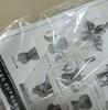 [USED] "Pure Succubus Liz" 1/6 DX ver. First edition bonus included / Tamanokedama