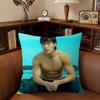 Schauspieler Woo Do H-Hwan Kissenbezug Auto Wurfkissenbezug Für Sofa Auto Weihnachtsgeschenk