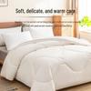 Thickened Warm Duvet Insert